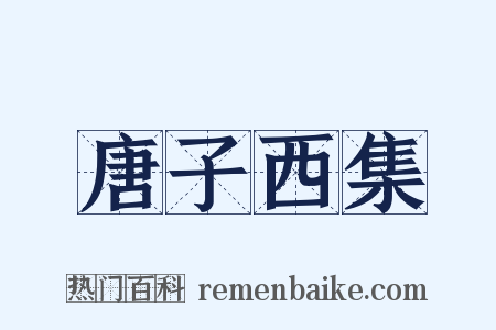 唐子西集是什么意思的图片